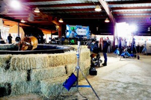 MOVIE BULLS