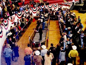 'PORK CHOP DOWNS' PIG RACES
