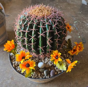10 IN BARREL CACTUS IN WHISKEY HALF BARREL